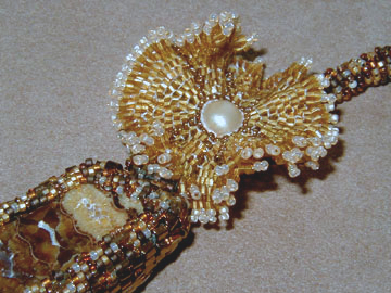 Sea Creature