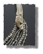 Crayfish Tassel