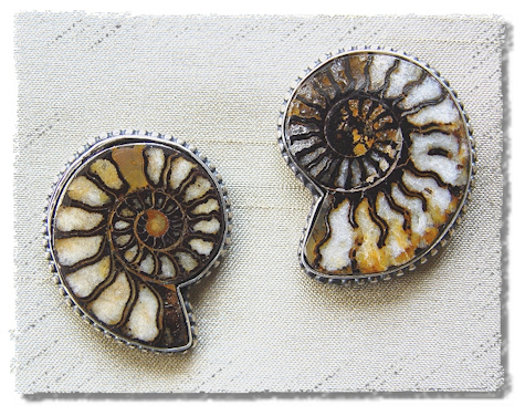 Ammonite Earrings